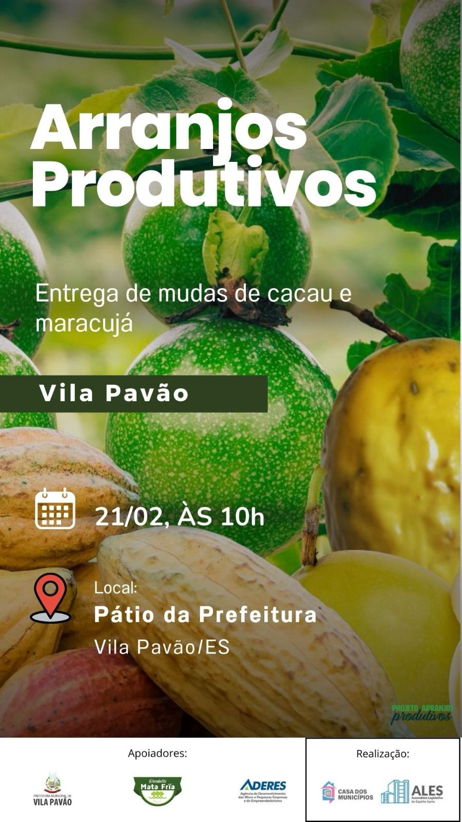 Projeto Arranjos Produtivos amplia distribuição de mudas no município para fortalecer agricultura familiar